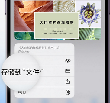 五台apple维修中心分享iPhone文件应用中存储和找到下载文件