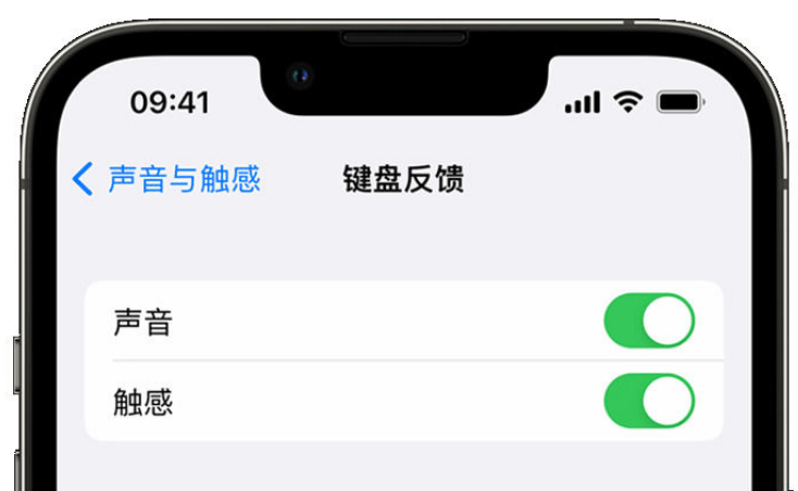 五台苹果手机维修分享iPhone 14触感键盘使用方法 