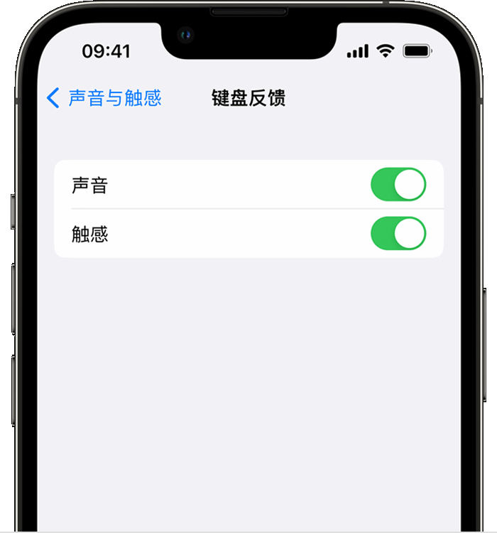 五台苹果14维修店分享如何在 iPhone 14 机型中使用触感键盘 