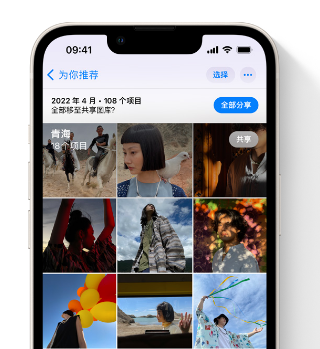 五台苹果维修网点分享在 iPhone 上使用共享图库 