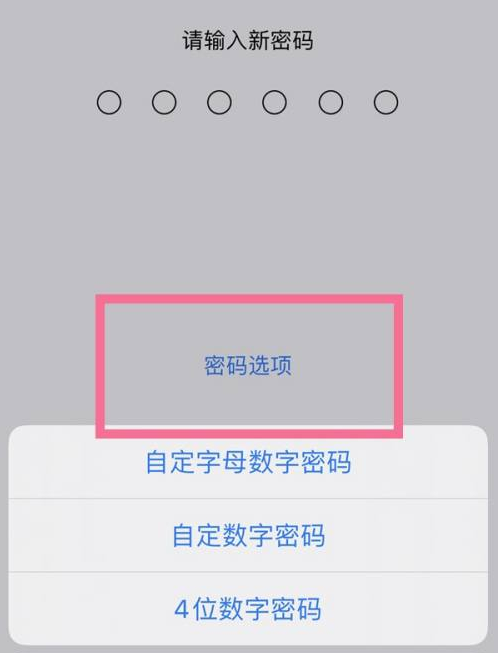 五台苹果14维修分享iPhone 14plus设置密码的方法 