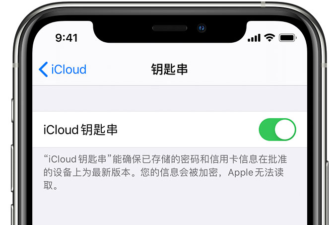 五台苹果手机维修分享在 iPhone 上开启 iCloud 钥匙串之后会储存哪些信息 