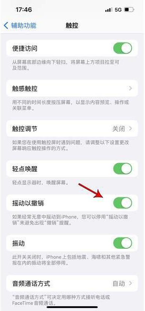 五台苹果手机维修分享iPhone手机如何设置摇一摇删除文字 